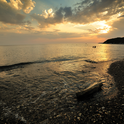 Photo #13880545