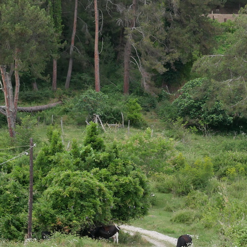 Photo #13880621