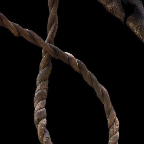 The Natural Loop