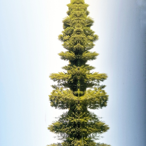 Photo #13880717