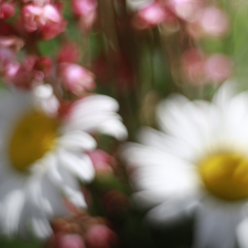 Photo #13880726