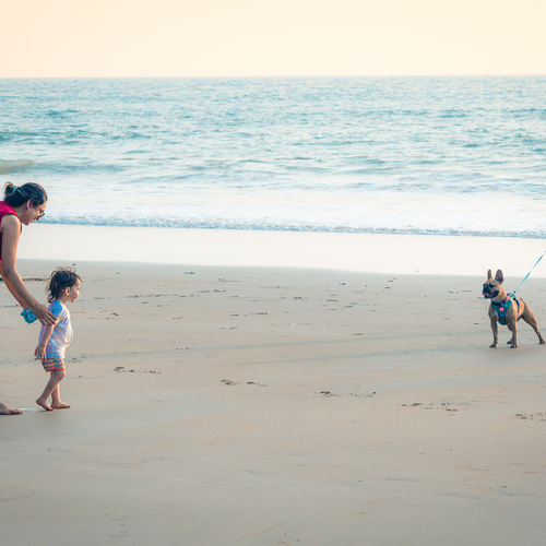Photo #13880743