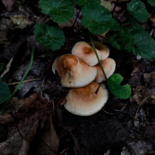 Photo #13880765