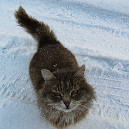 Photo #13880770