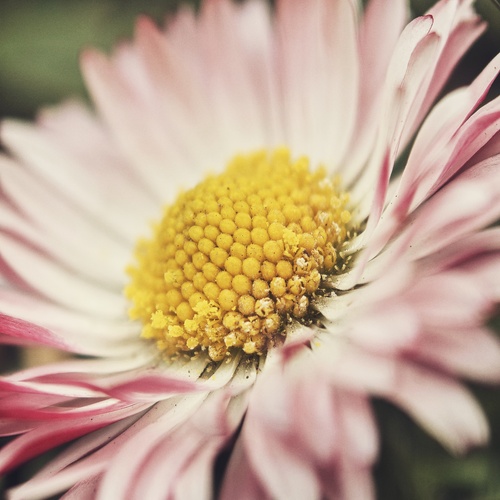 Photo #13880786