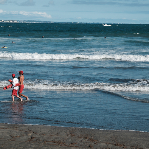 Photo #13880846