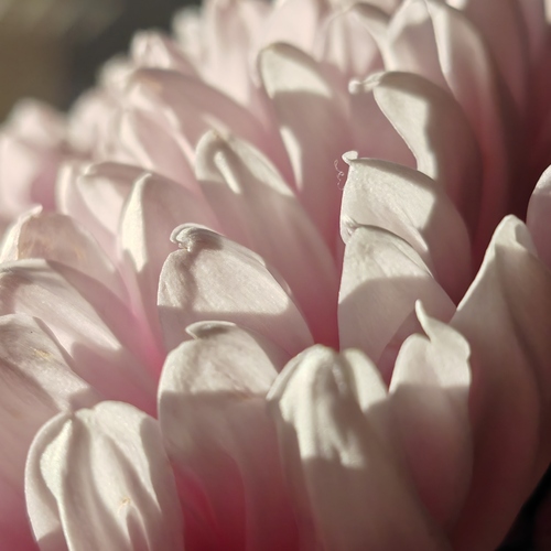 Photo #13880908