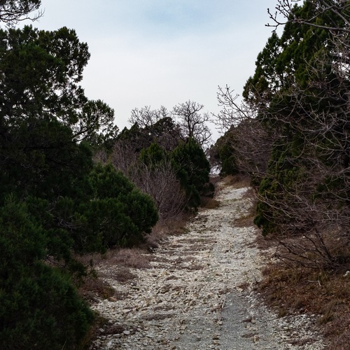Photo #13881023
