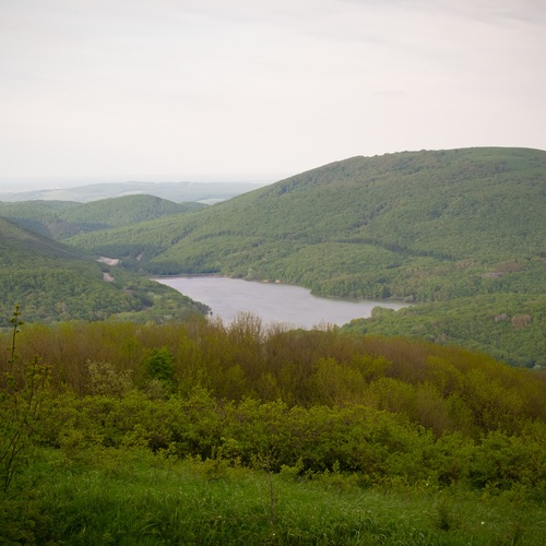 Photo #13881024