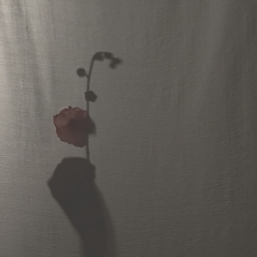 Photo #13881027