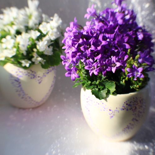 Photo #13881044
