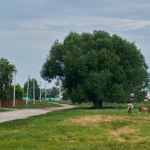 Photo #13881052