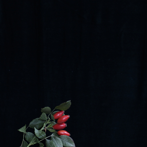 Photo #13881085