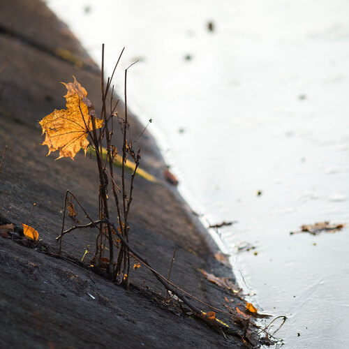 Photo #13881108