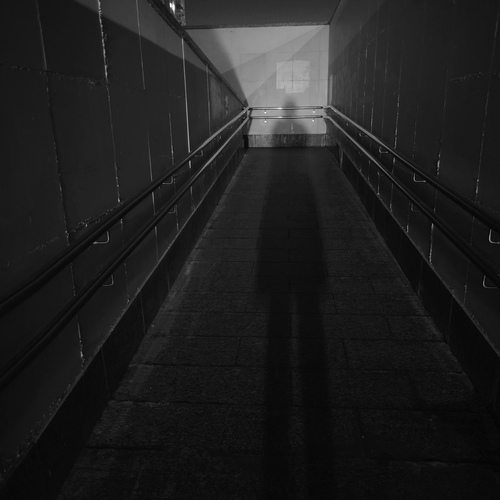 Photo #13881119