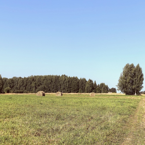 Photo #13881229