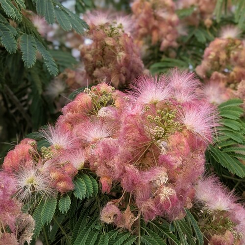 Photo #13881305