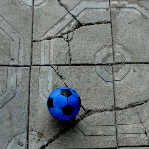 Photo #13881335