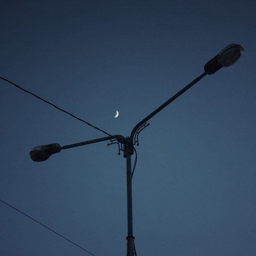 Photo #13881487