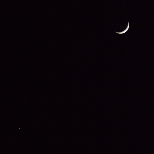 Photo #13881489