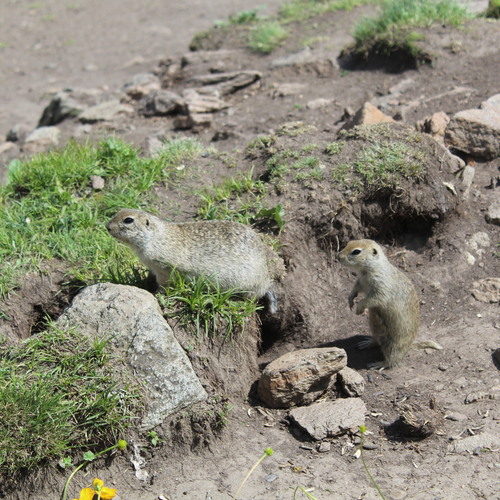 Photo #13881636