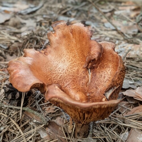 Photo #13881713