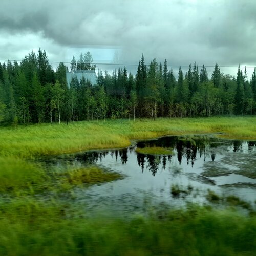 Photo #13881868