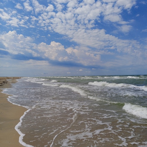 Photo #13881899