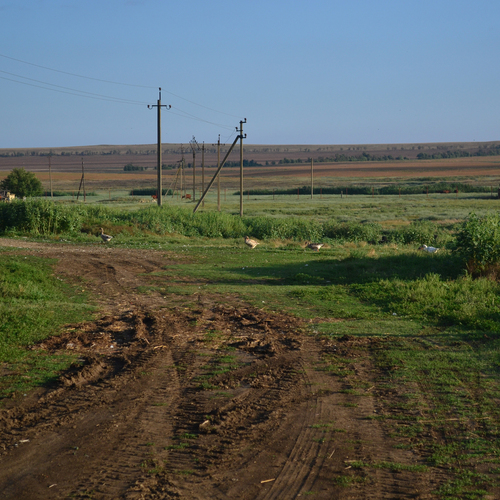 Photo #13881904