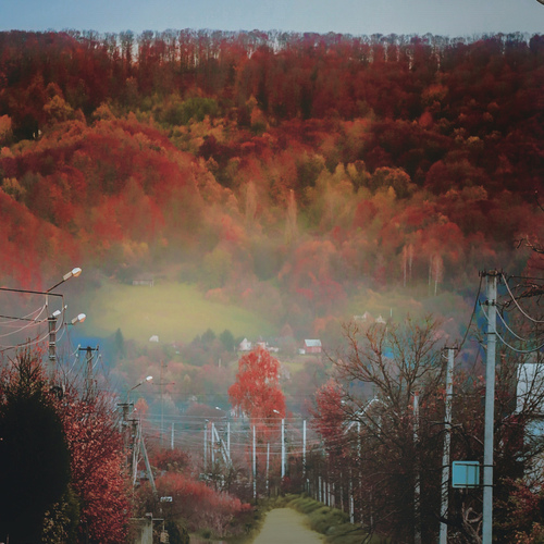 Photo #13881937