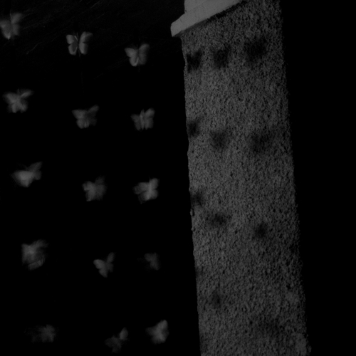 Photo #13881961