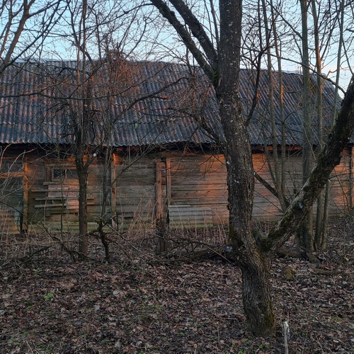Photo #13881966