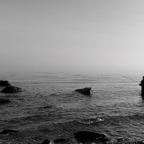 Photo #13881974