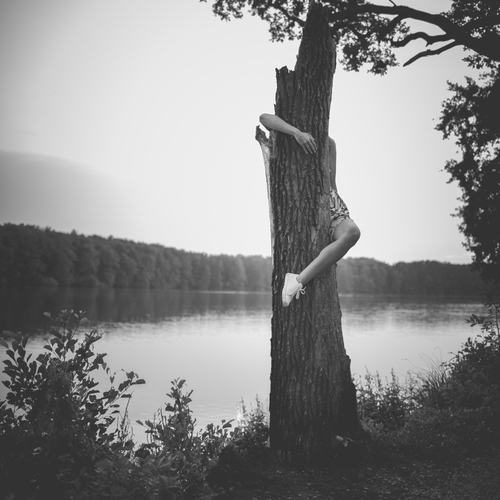 Photo #13882065