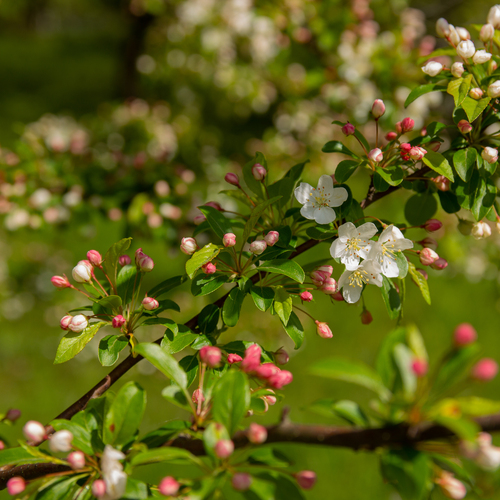 Фотография #13882094