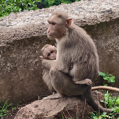 Photo #13882101