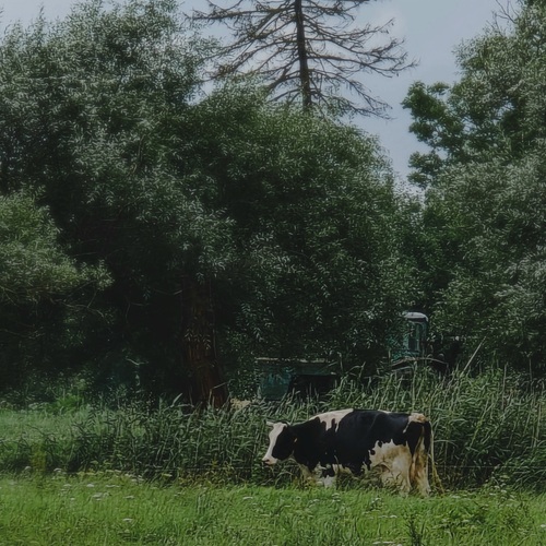 Photo #13882199