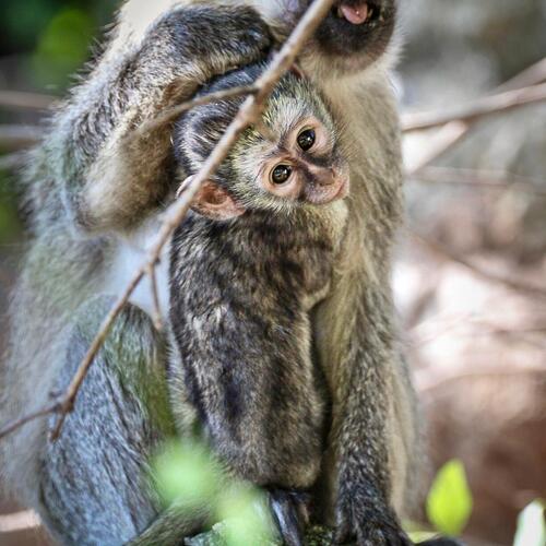 Photo #13882273