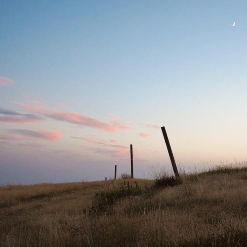 Photo #13882275