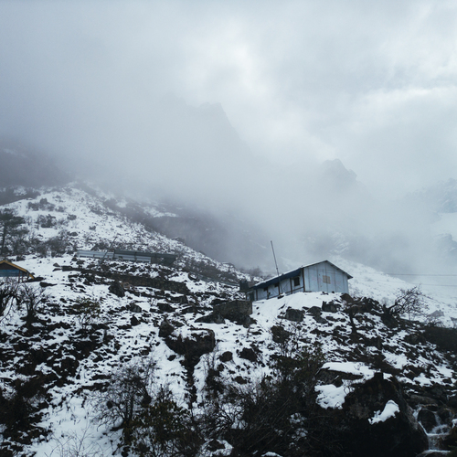 Silence of the Snow
