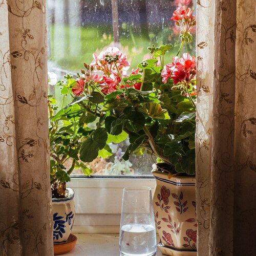 Photo #13882308