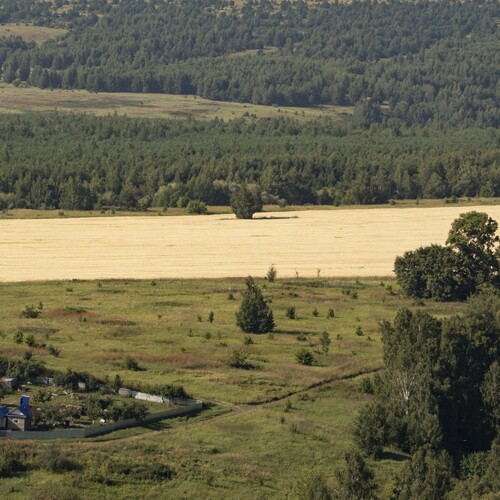 Photo #13882355
