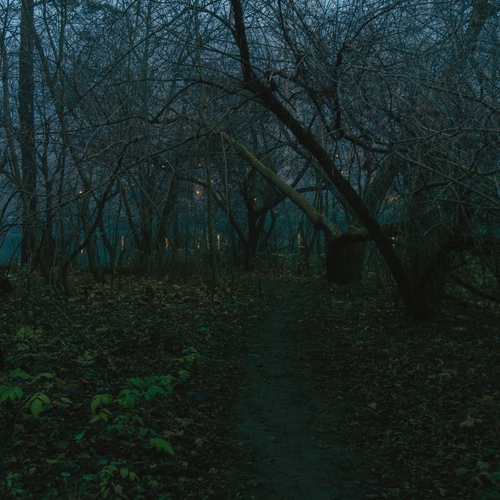 Photo #13882356