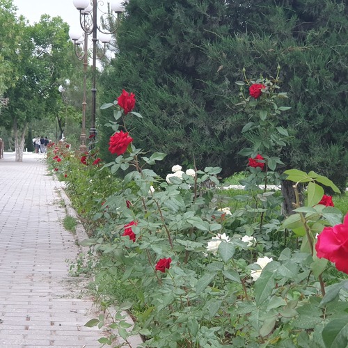 Photo #13882480