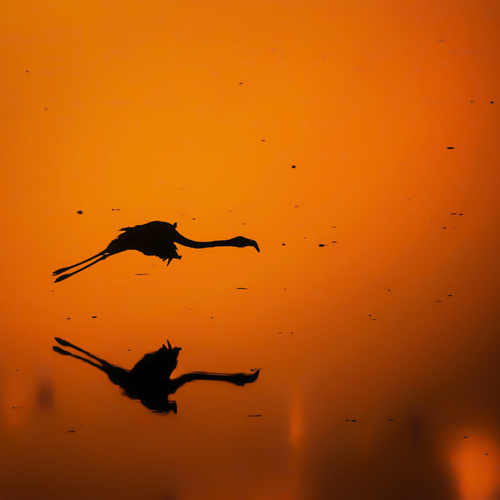 Photo #13882544