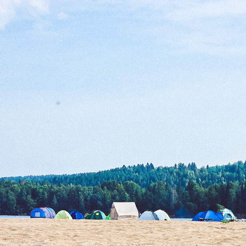 Photo #13882636