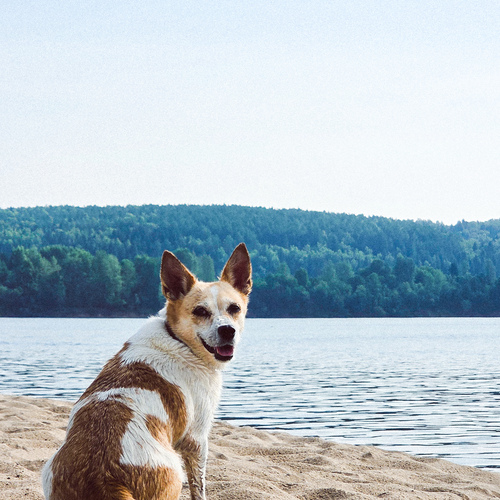 Photo #13882637