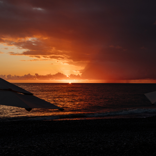 Photo #13882640