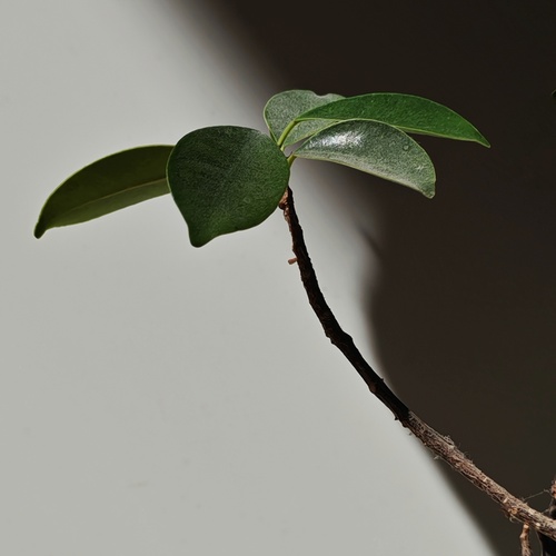 Photo #13882910