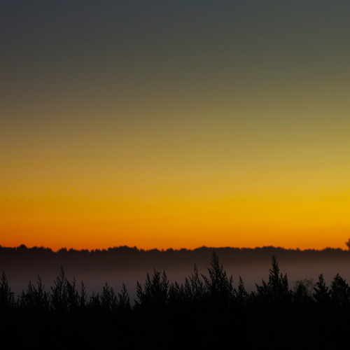 Photo #13882934